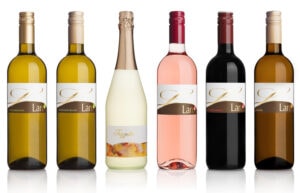 LANG KENNENLERNPAKET „MIX“