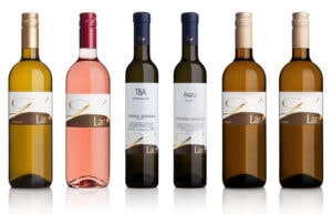 LANG KENNENLERNPAKET „Suess“